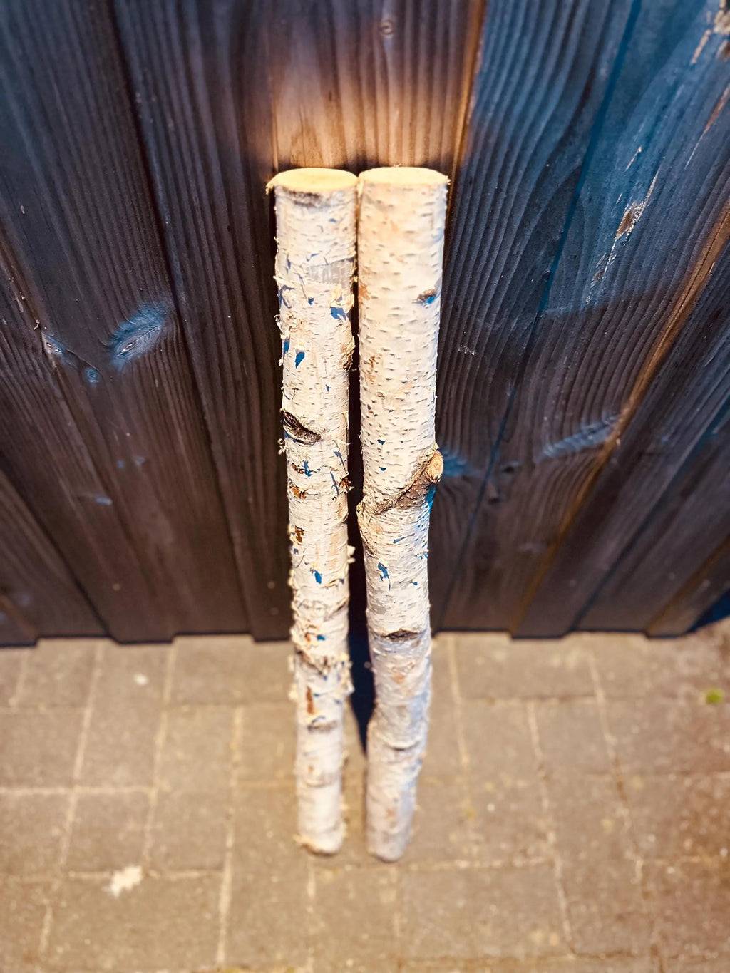 Birkenstamm 80 cm | 4–5 cm Ø | Dekoholz natur | Trocken | DIY Basteln Hochzeit Deko Weihnachten Bunterkopf