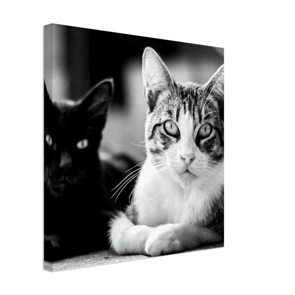 Personalized Cat Canvas – Your Pet as a Wall Art – Individual Animal Portrait on Canvas – Gift for Cat Lovers – House