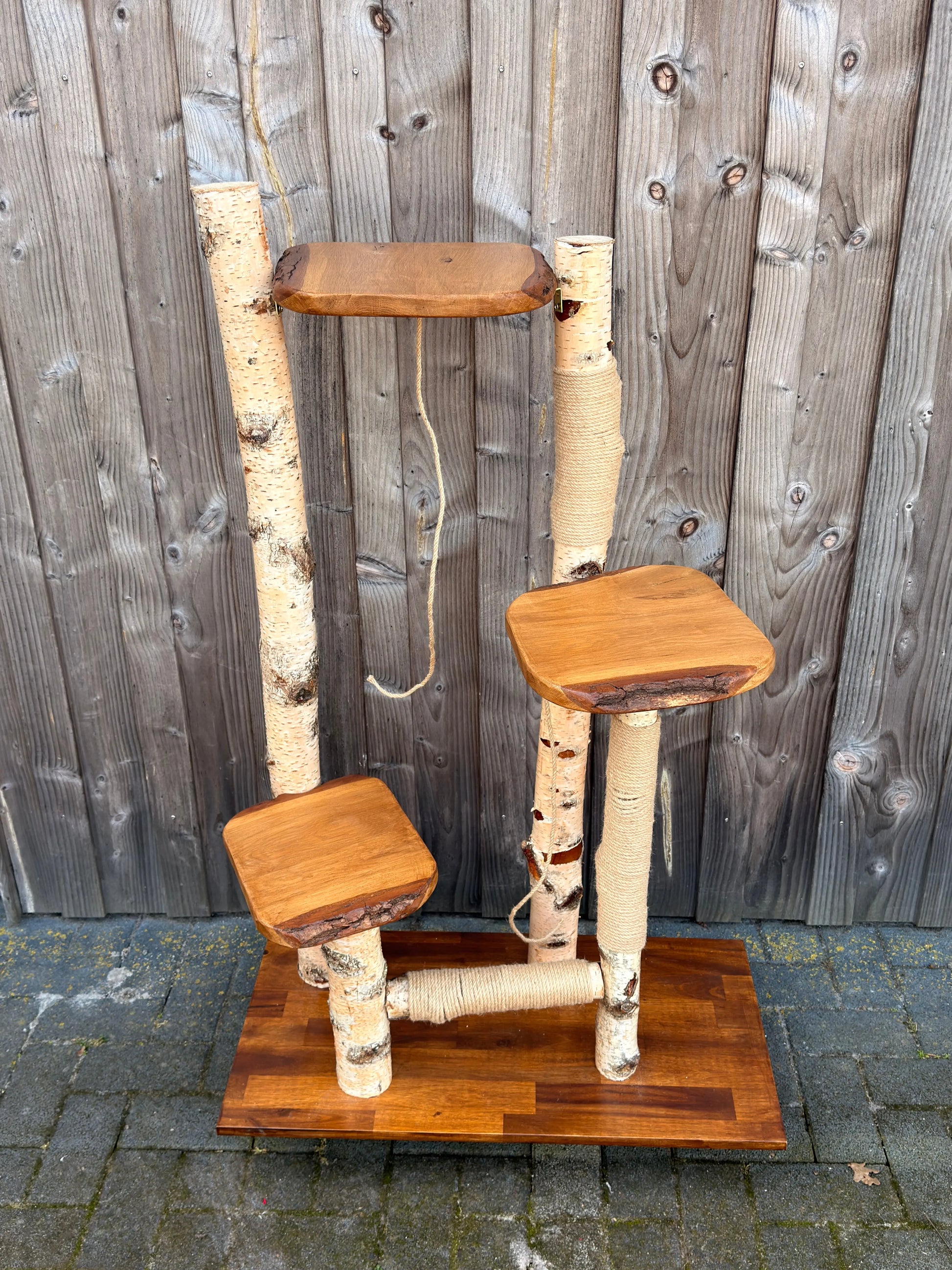 Kratzbaum "Waldtraum" aus Birke & Akazie – Stabil und Wetterfest | Für Innen und Außen | Mehrstöckiger Premium-Katzenbaum mit Naturholz Bunterkopf