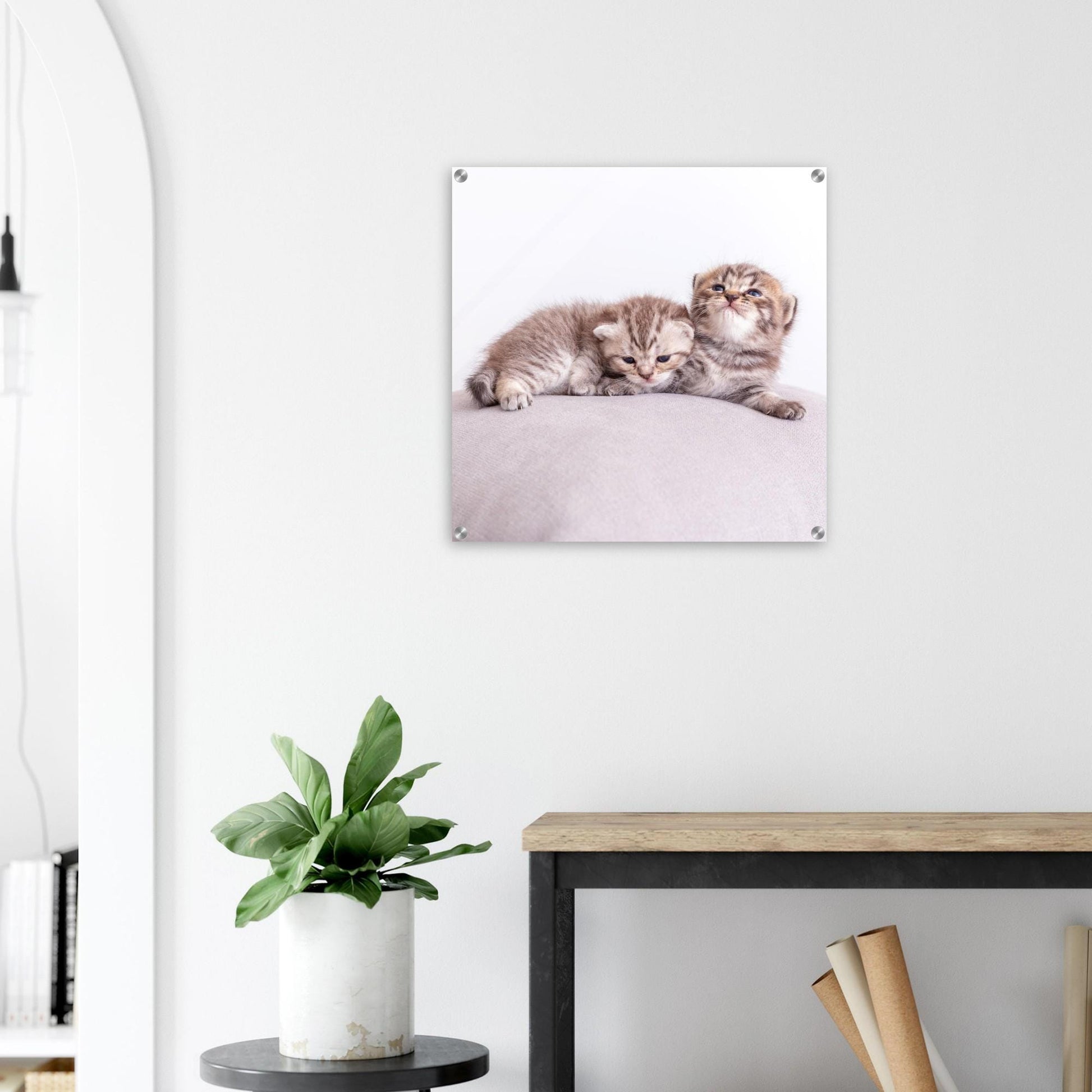 Personalized acrylic painting – Pet canvas with photo – Wall picture cat dog – Gift animal lover – Acrylic glass print animal photo