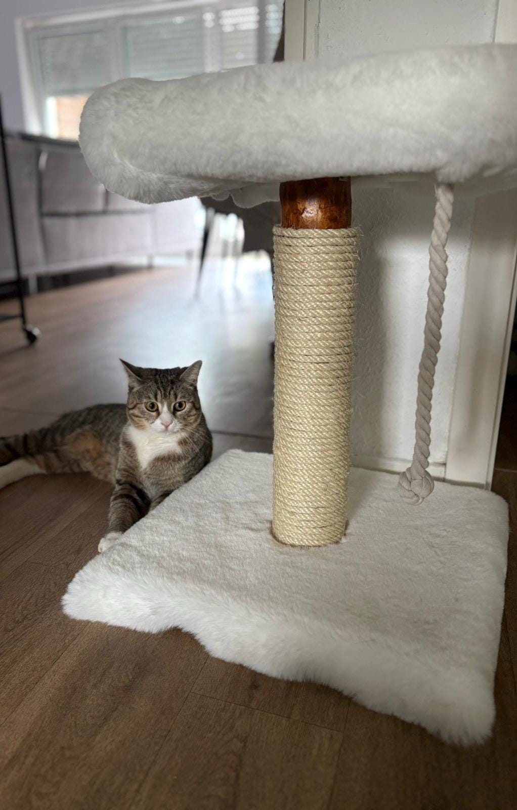 Kratzbaum - "Lisa" - 40-50 cm hoch – Fellbezogen, Naturholz & Entrindet - extra dickes Sisal – Handgemacht Bunterkopf - Katzenmöbel mit Charakter