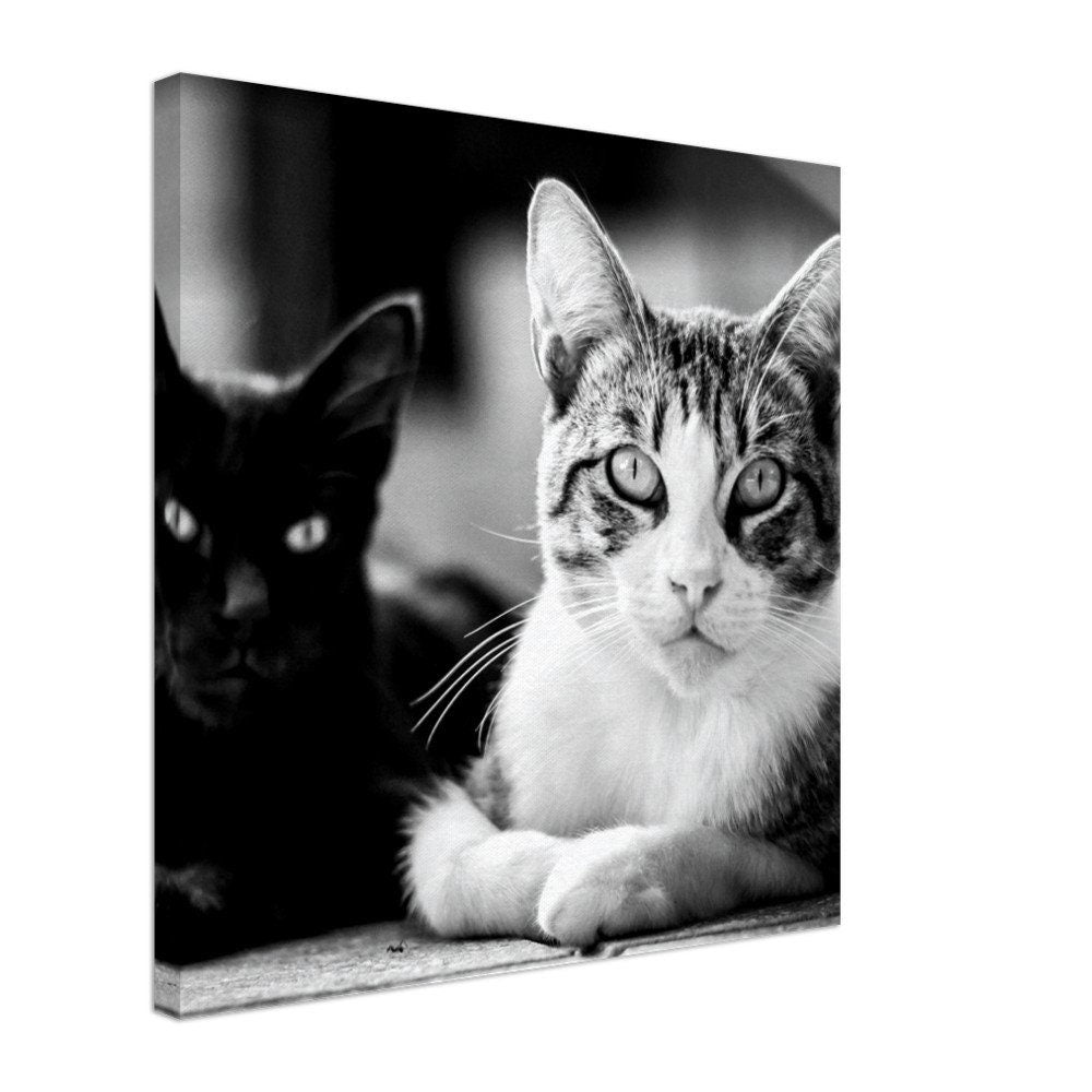 Personalized Cat Canvas – Your Pet as a Wall Art – Individual Animal Portrait on Canvas – Gift for Cat Lovers – House