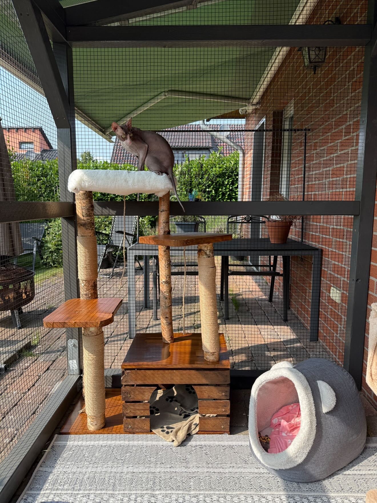 Kratzbaum "Louisa" aus Birke & Akazie – Stabil und Wetterfest | Für Innen und Außen | Mehrstöckiger Premium-Katzenbaum mit Naturholz und einer Höhle Bunterkopf