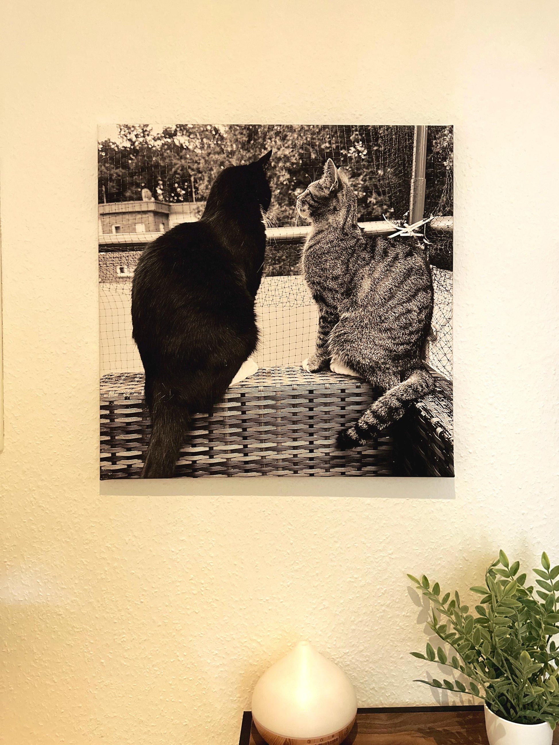 Personalized Cat Canvas – Your Pet as a Wall Art – Individual Animal Portrait on Canvas – Gift for Cat Lovers – House