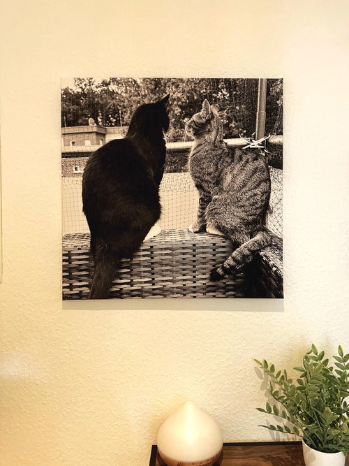Personalized Cat Canvas – Your Pet as a Wall Art – Individual Animal Portrait on Canvas – Gift for Cat Lovers – House