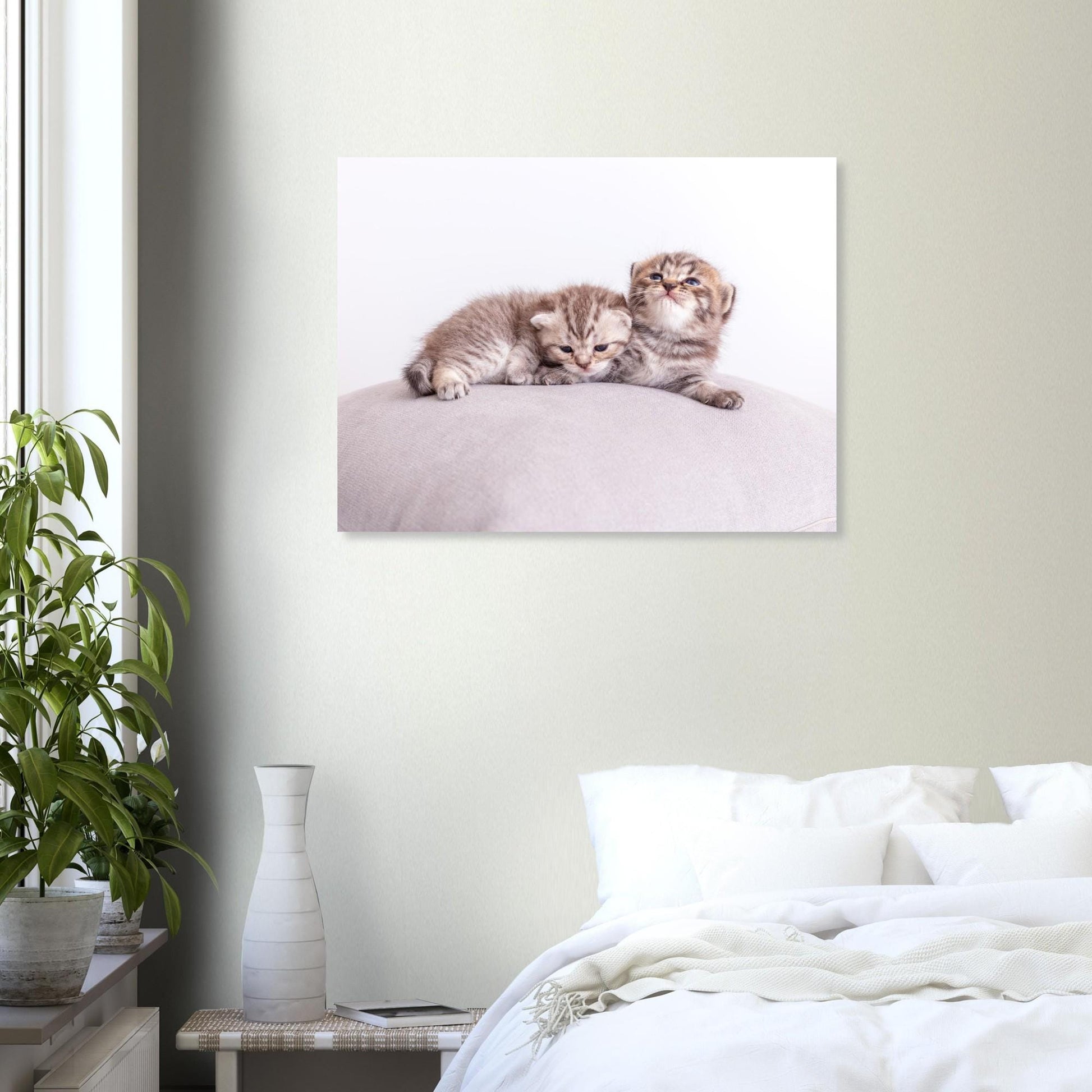 Personalized pet canvas made of aluminum – Your cat photo as a fine print – Gift for cat lovers – Wall picture with your pet
