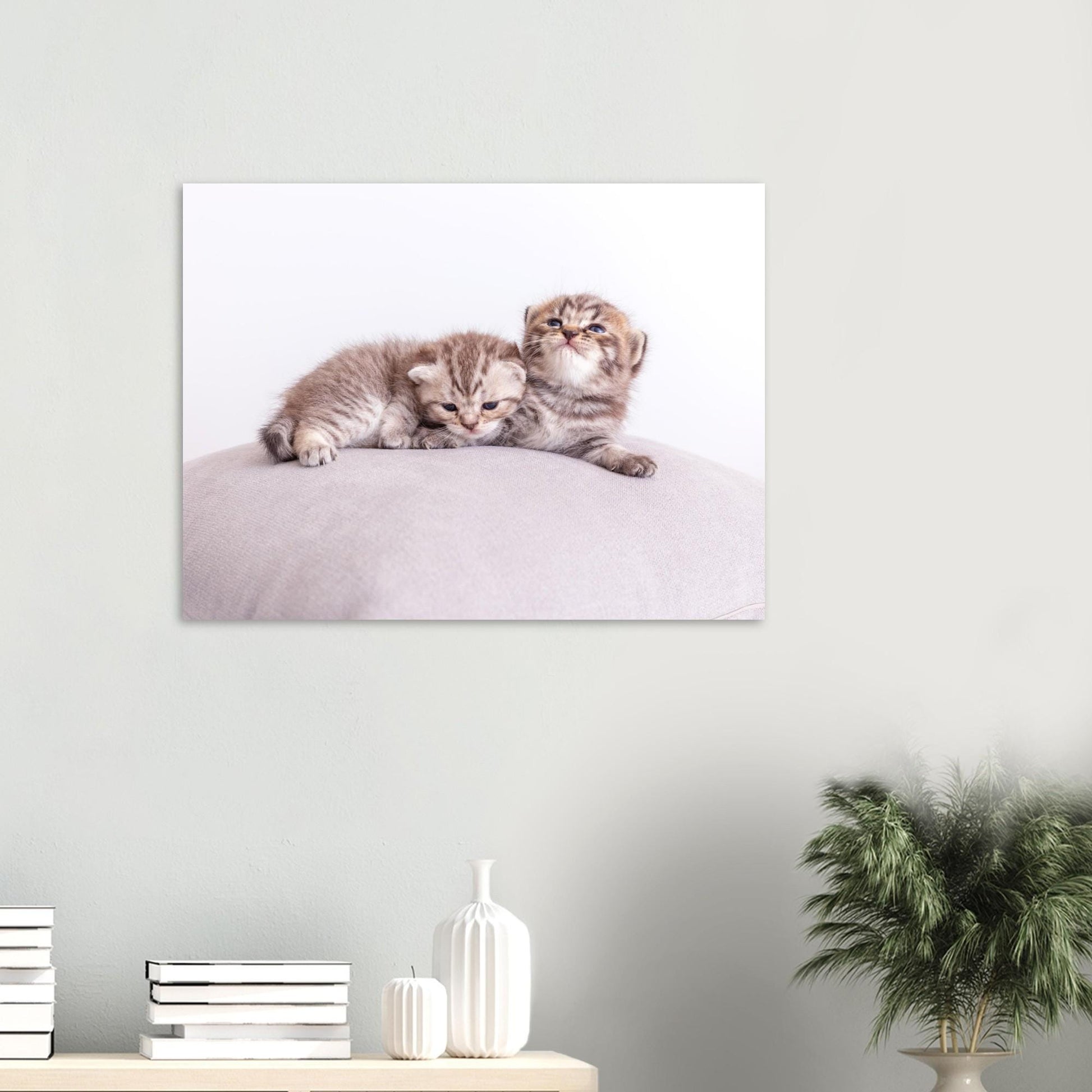 Personalized pet canvas made of aluminum – Your cat photo as a fine print – Gift for cat lovers – Wall picture with your pet