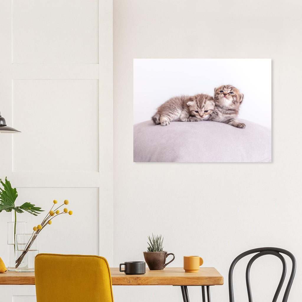 Personalized pet canvas made of aluminum – Your cat photo as a fine print – Gift for cat lovers – Wall picture with your pet