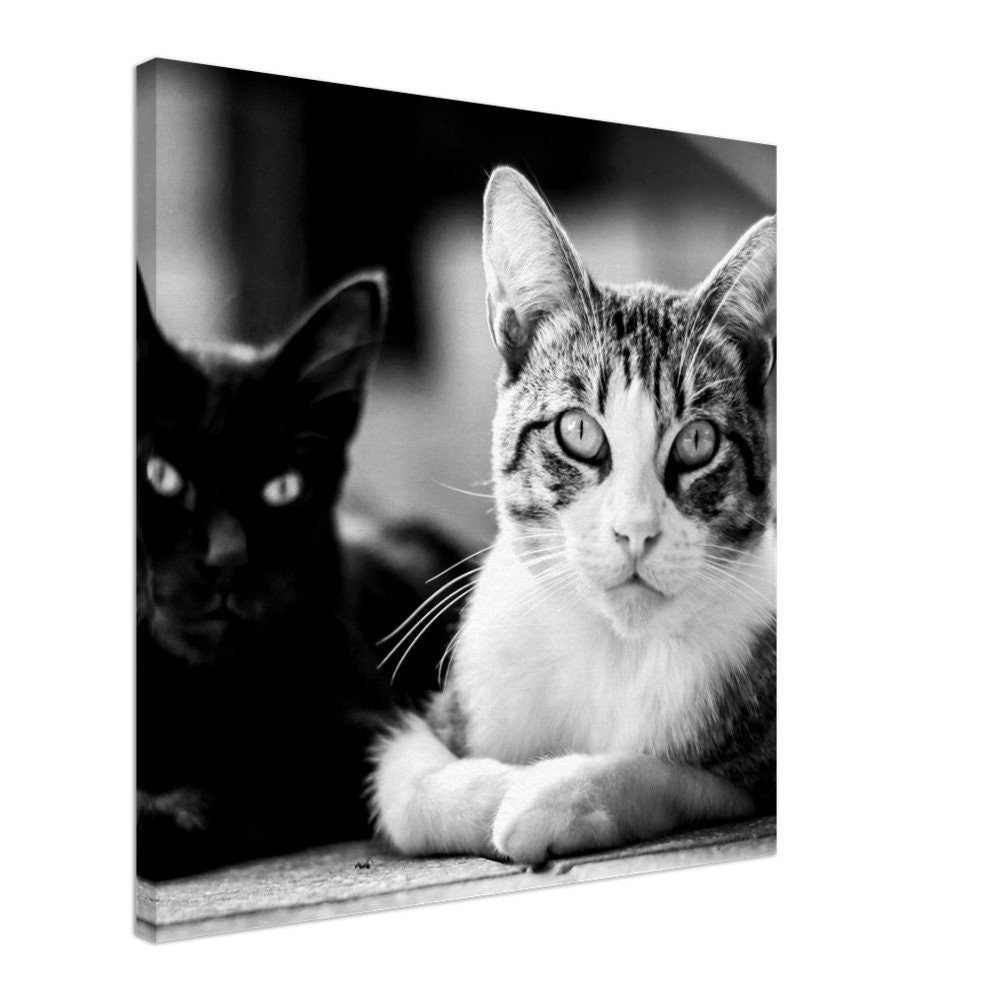 Personalized Cat Canvas – Your Pet as a Wall Art – Individual Animal Portrait on Canvas – Gift for Cat Lovers – House