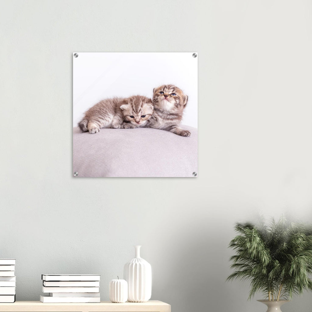 Personalized acrylic painting – Pet canvas with photo – Wall picture cat dog – Gift animal lover – Acrylic glass print animal photo