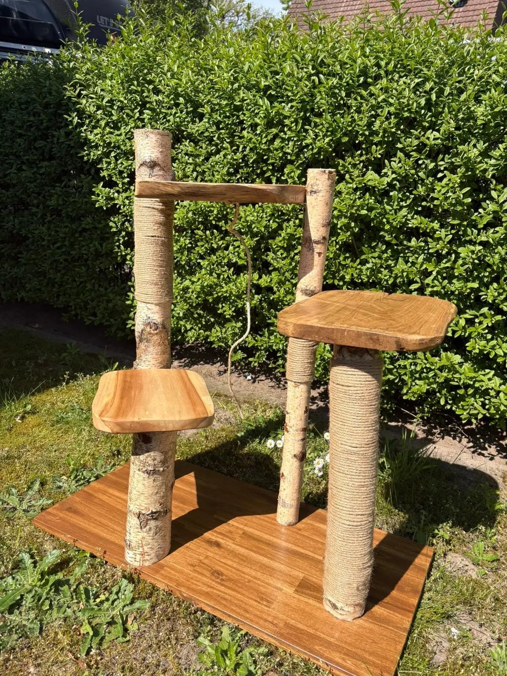 Kratzbaum "Lotte" aus Birke, Akazie und Teak (80–90 cm) – nachhaltig & handgefertigt, 3 Liegeflächen Bunterkopf