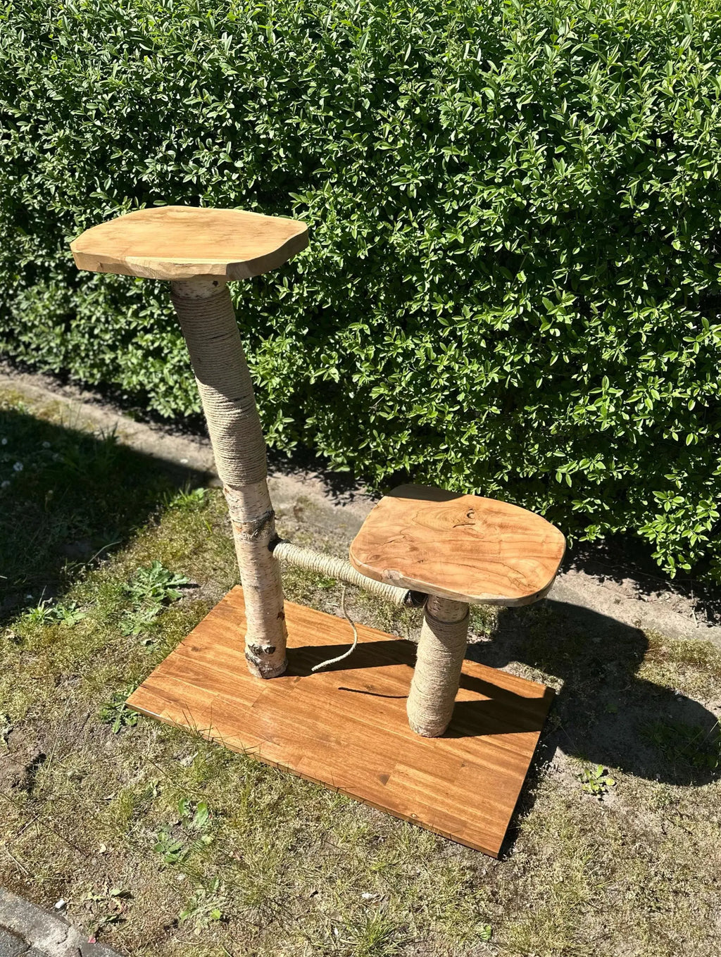 Kratzbaum "Waldtraum" aus Birke & Akazie – Stabil und Wetterfest | Für Innen und Außen | Mehrstöckiger Premium-Katzenbaum mit Naturholz Bunterkopf