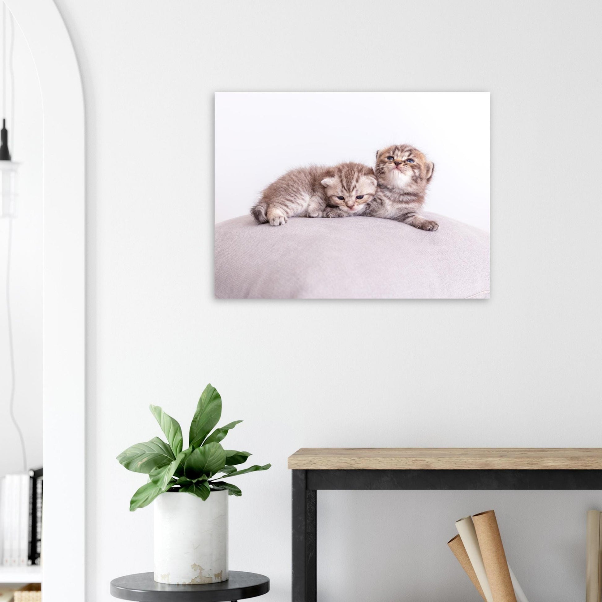 Personalized pet canvas made of aluminum – Your cat photo as a fine print – Gift for cat lovers – Wall picture with your pet