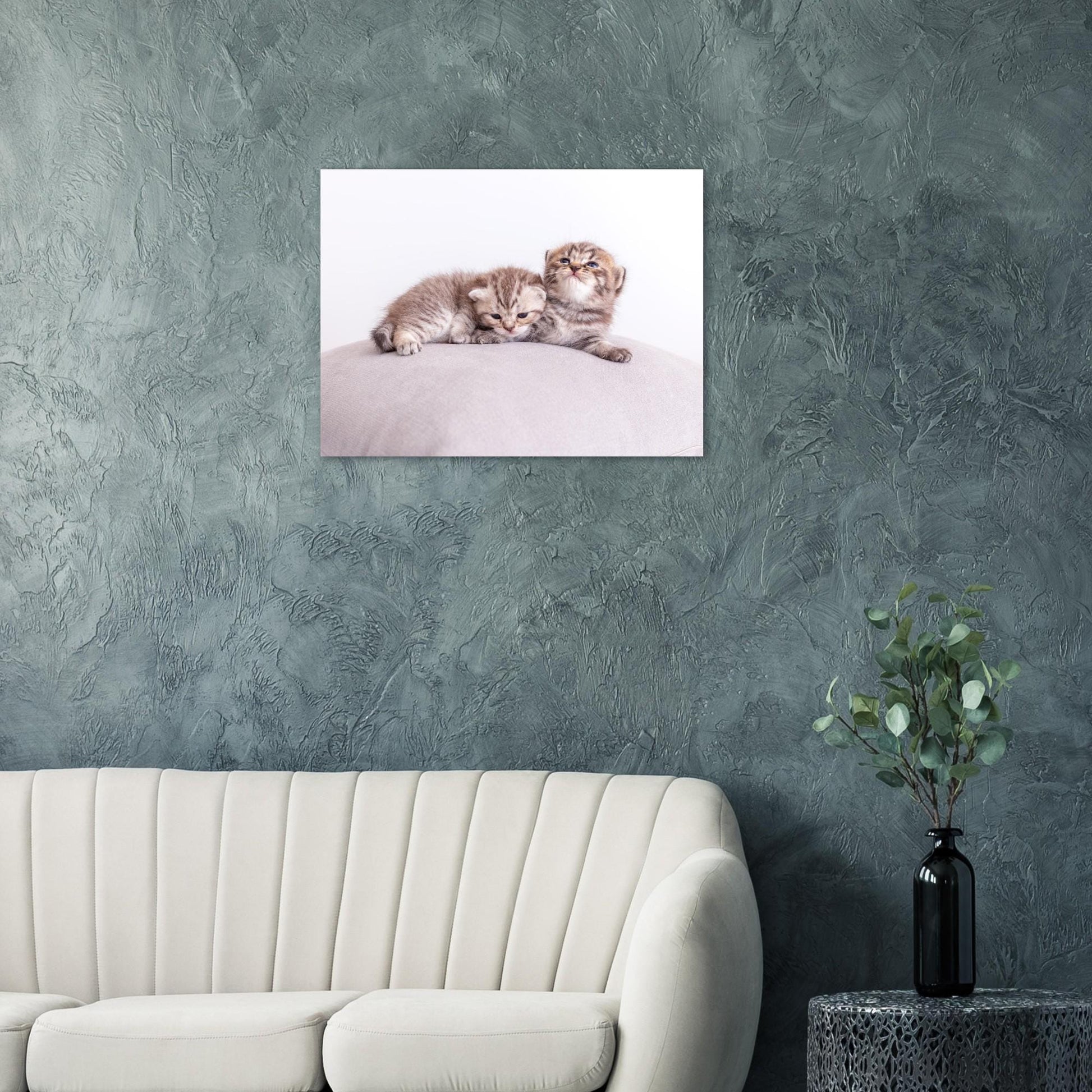 Personalized pet canvas made of aluminum – Your cat photo as a fine print – Gift for cat lovers – Wall picture with your pet