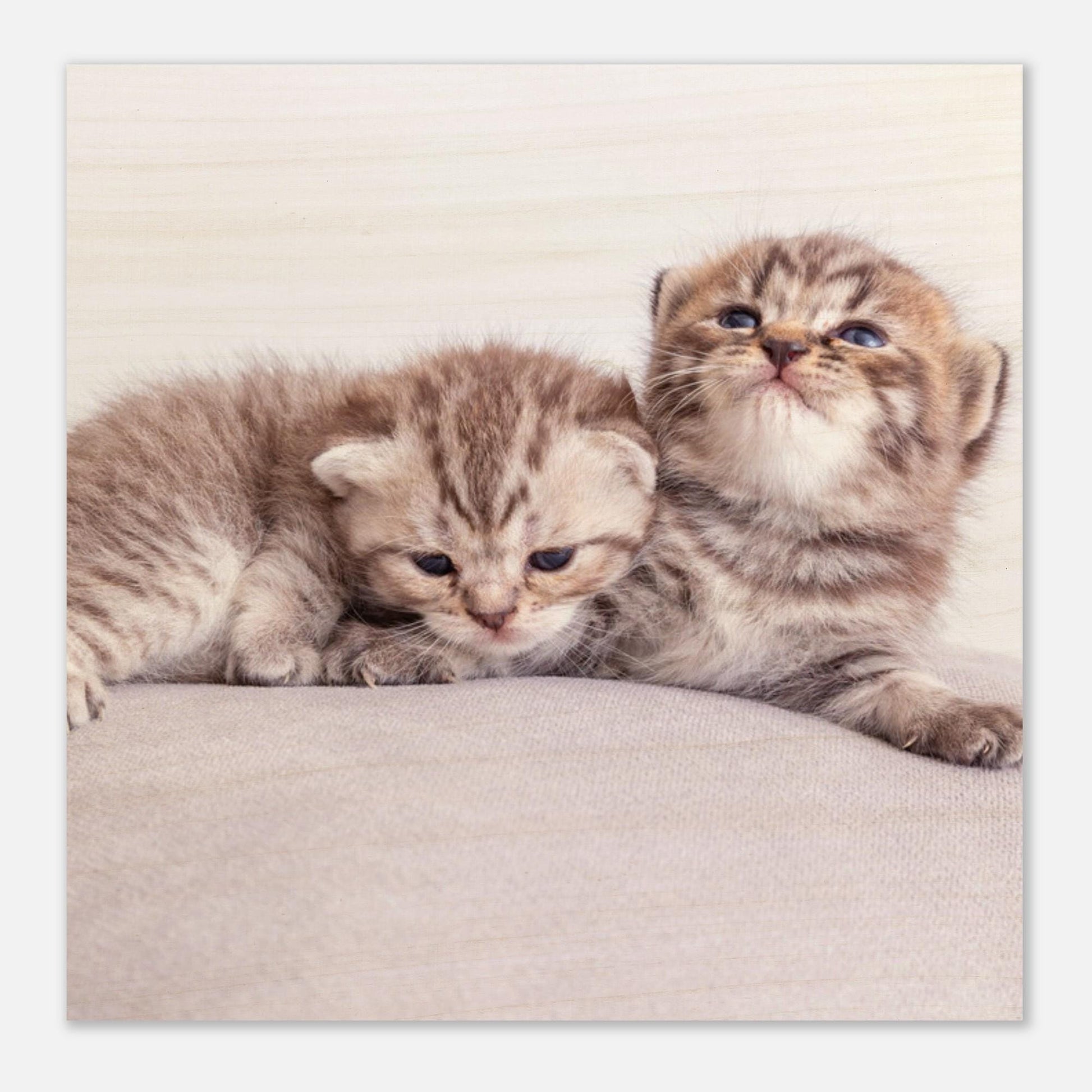 Personalized wood print with cat photo – Pet picture on wood – Gift for cat lovers – Natural wall art with your pet photo