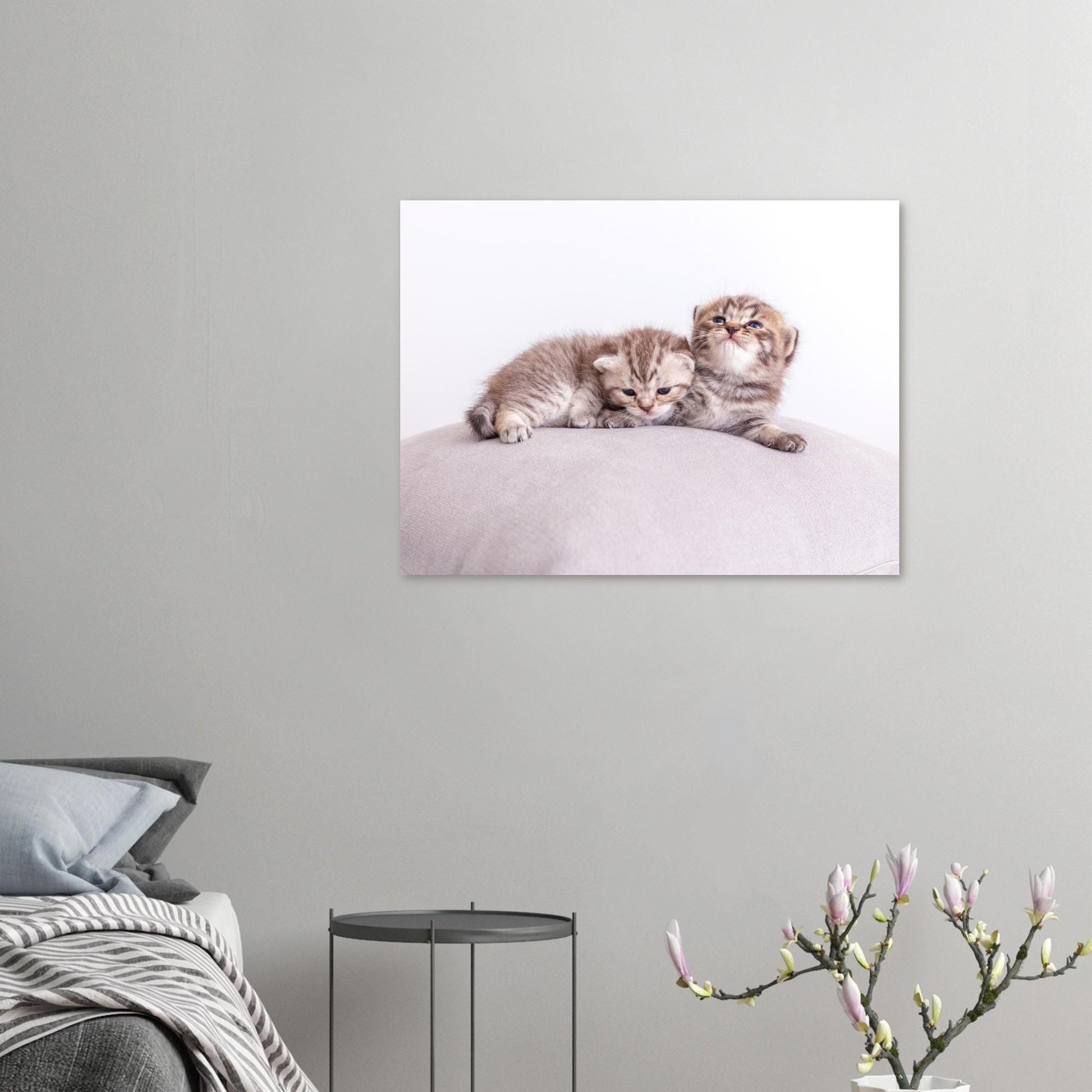 Personalized pet canvas made of aluminum – Your cat photo as a fine print – Gift for cat lovers – Wall picture with your pet