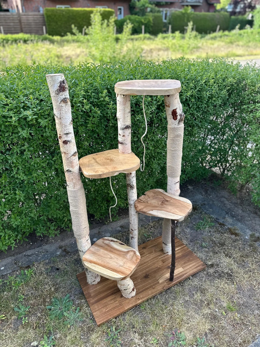 Kratzbaum "Bruno" aus Naturholz - Handgefertigt – Birke & Akazie – Für Innen und Außen – Platzsparend  – Kratzmöbel für Katzen – Nachhaltiges Design Bunterkopf