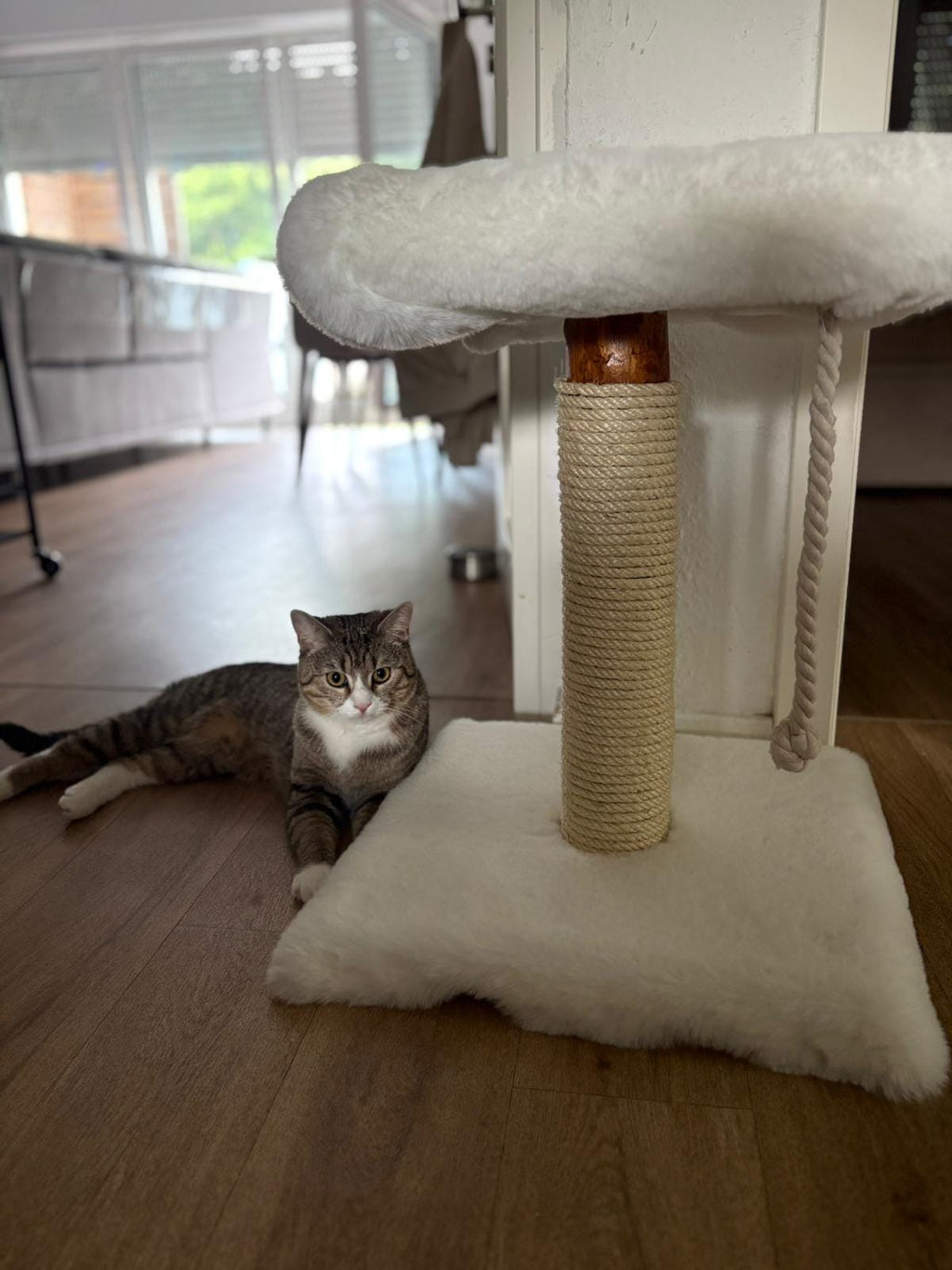 Kratzbaum - "Lisa" - 40-50 cm hoch – Fellbezogen, Naturholz & Entrindet - extra dickes Sisal – Handgemacht Bunterkopf - Katzenmöbel mit Charakter