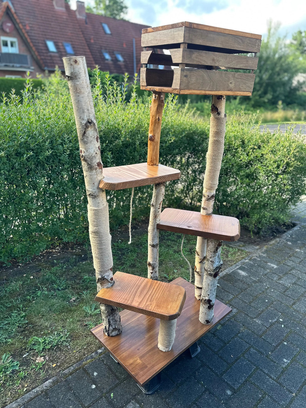 Kratzbaum "Sascha" aus Birke & Akazie – Stabil und Wetterfest | Für Innen und Außen | Mehrstöckiger Premium-Katzenbaum mit Naturholz und einer Höhle (Kopie) Bunterkopf