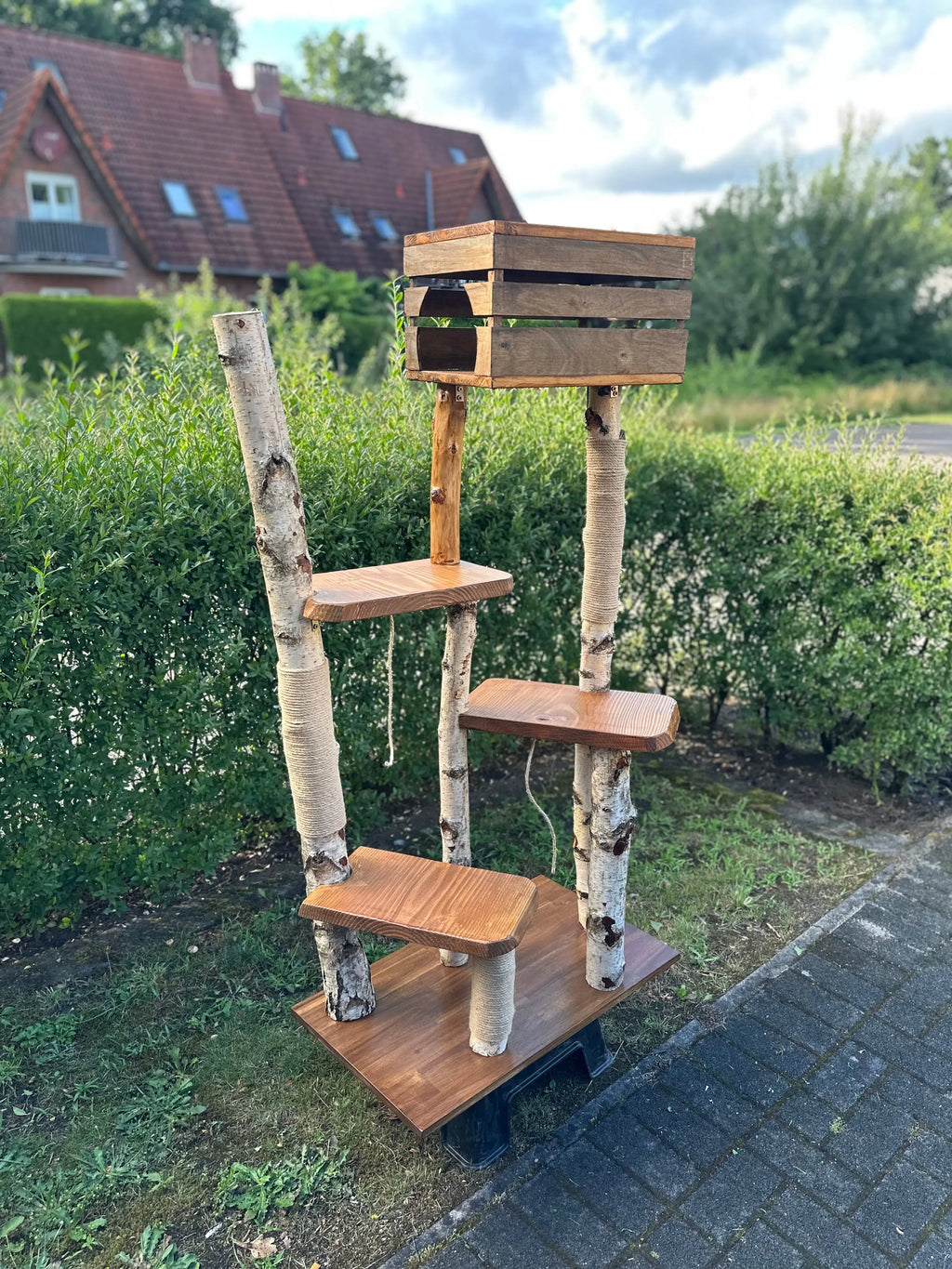 Kratzbaum "Sascha" aus Birke & Akazie – Stabil und Wetterfest | Für Innen und Außen | Mehrstöckiger Premium-Katzenbaum mit Naturholz und einer Höhle (Kopie) Bunterkopf