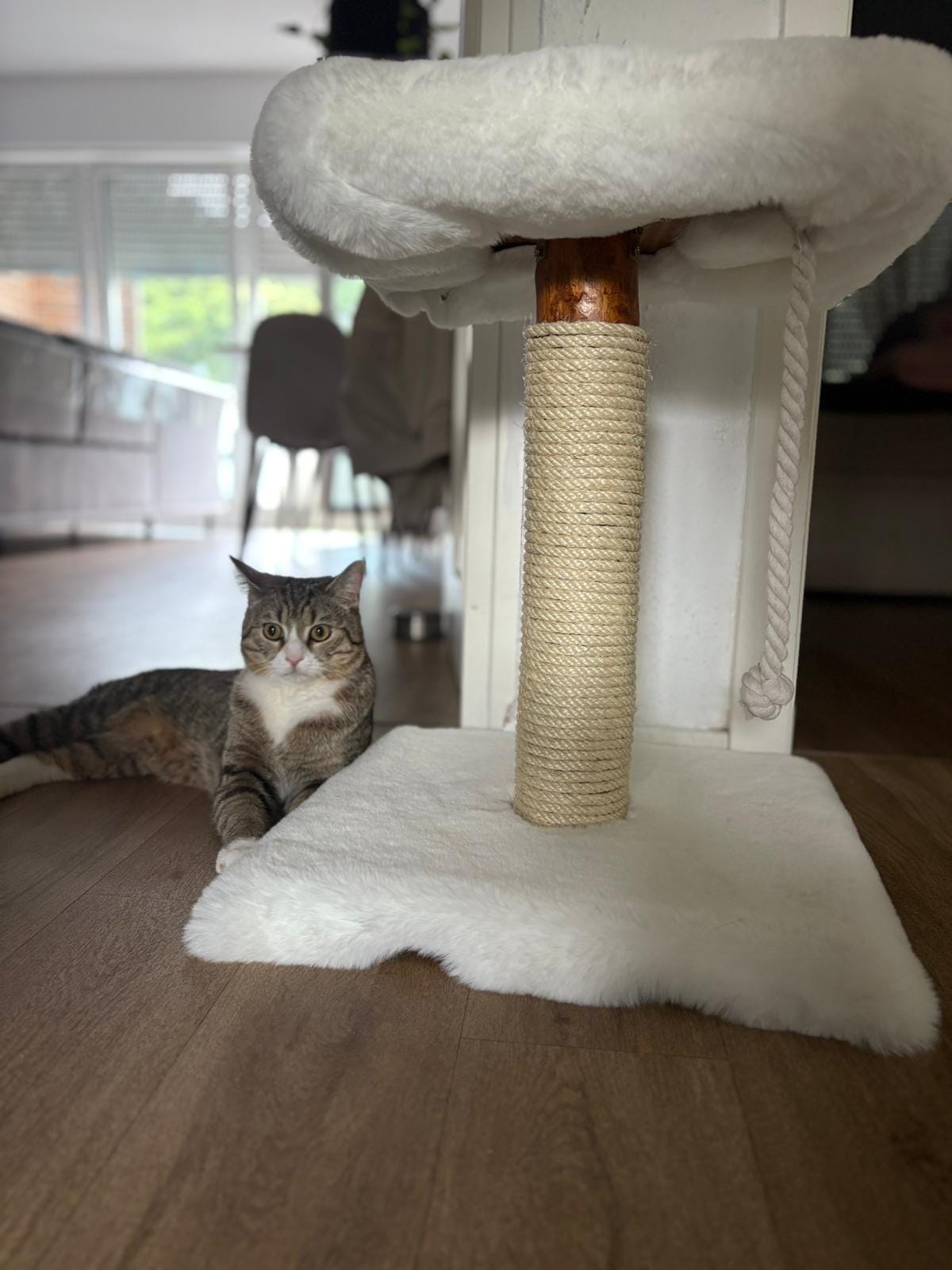 Kratzbaum - "Lisa" - 40-50 cm hoch – Fellbezogen, Naturholz & Entrindet - extra dickes Sisal – Handgemacht Bunterkopf - Katzenmöbel mit Charakter