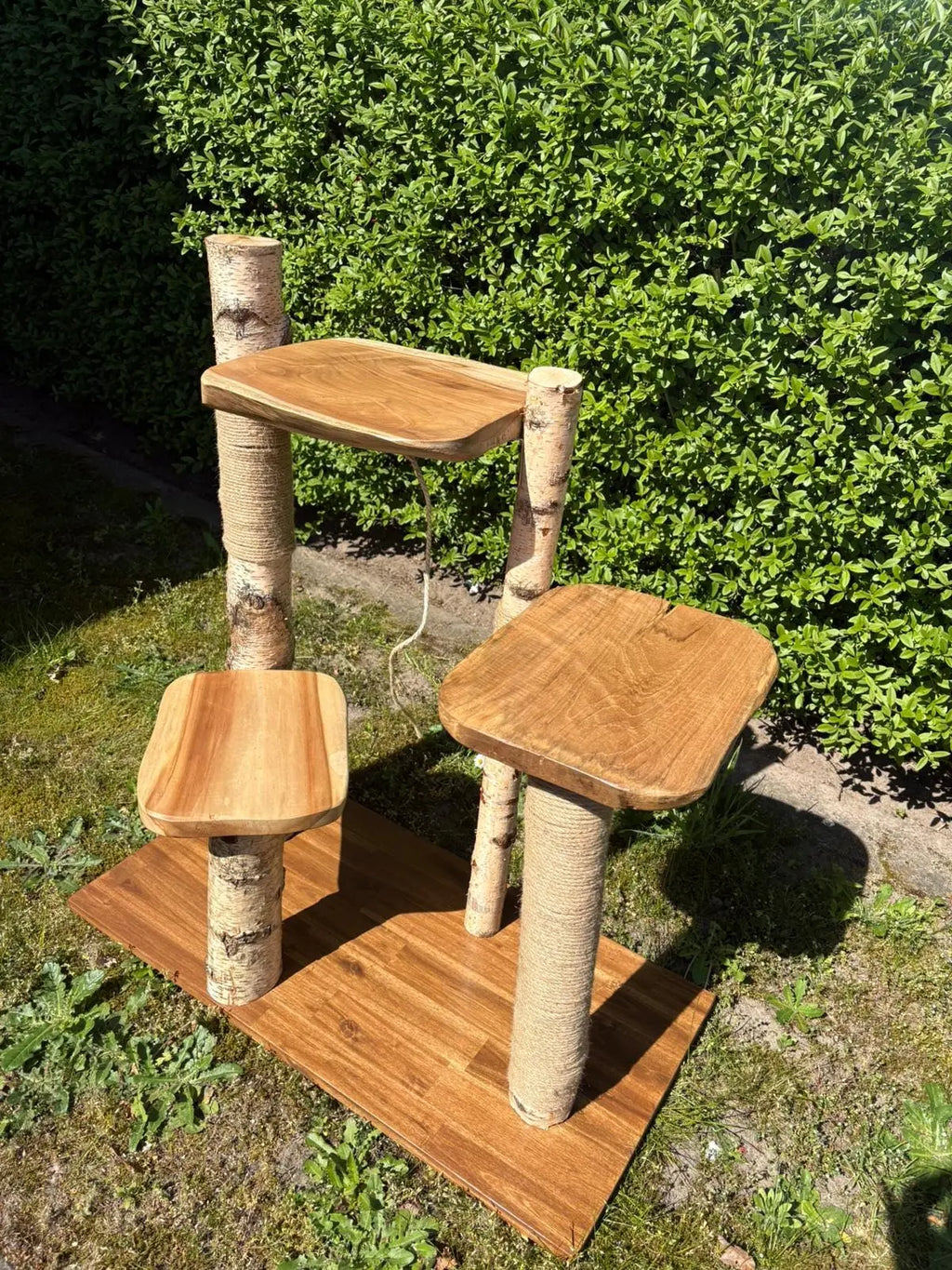 Kratzbaum "Bruno" aus Naturholz - Handgefertigt – Birke & Akazie – Für Innen und Außen – Platzsparend  – Kratzmöbel für Katzen – Nachhaltiges Design Bunterkopf