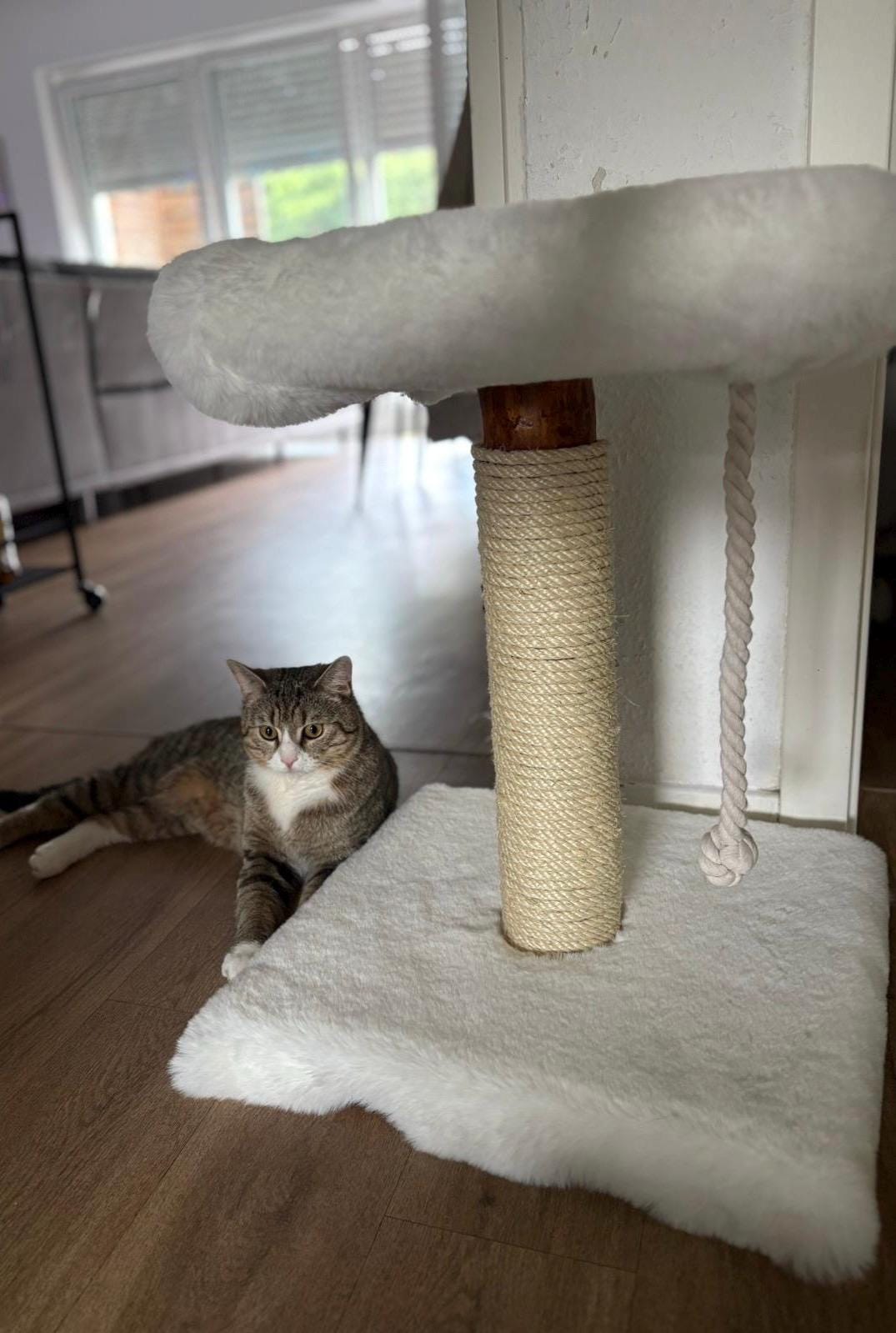 Kratzbaum - "Lisa" - 40-50 cm hoch – Fellbezogen, Naturholz & Entrindet - extra dickes Sisal – Handgemacht Bunterkopf - Katzenmöbel mit Charakter